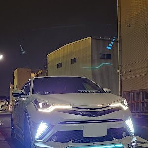 C-HR NGX10