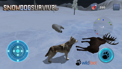 Snow Dog Survival Simulator