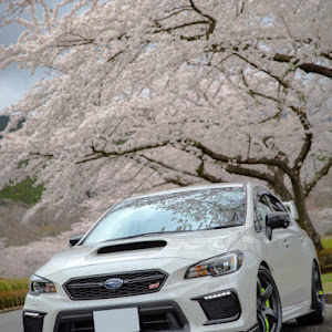 WRX STI VAB