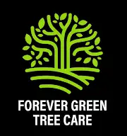 Forever Green Tree Care Logo