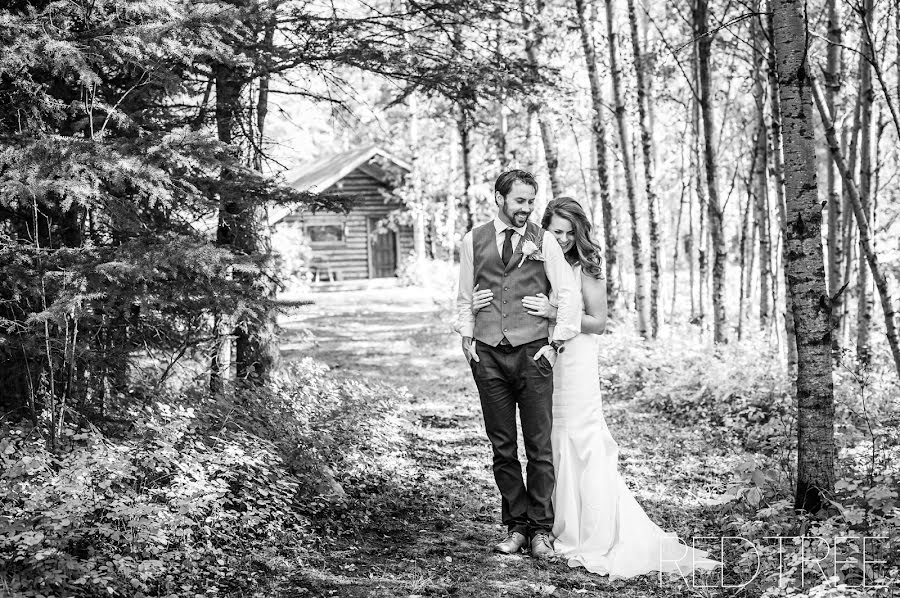 Wedding photographer Amy Moedt (amymoedt). Photo of 9 May 2019