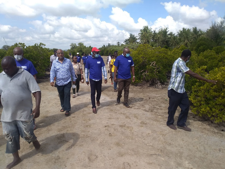 KenTrade staff lead other stakeholders at Mkupe along the Port Reitz creek on Saturday.