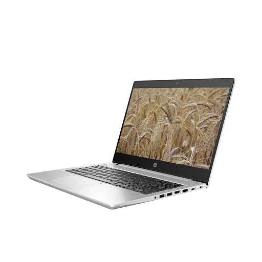 Laptop HP ProBook 445 G6-6XQ03PA (14" FHD/R5-2500U/8GB/256GB SSD/Radeon Vega 8/Free DOS/1.5 kg)