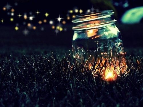 fireflies.jpg