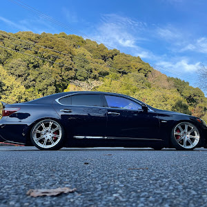 LS