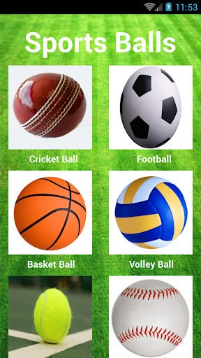 Sports Balls