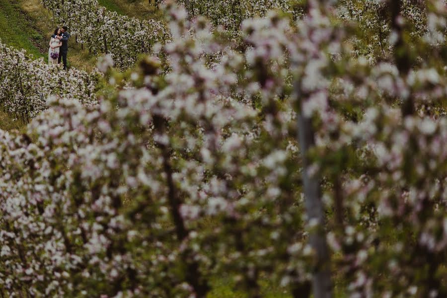 Fotógrafo de bodas Tim Demski (timdemski). Foto del 21 de mayo 2021