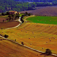 Agricoltura a Pienza di 