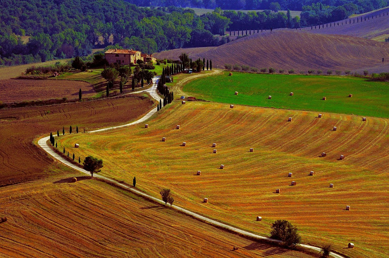 Agricoltura a Pienza di MAX1960