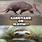 Item logo image for Aardvark or Sloth!?