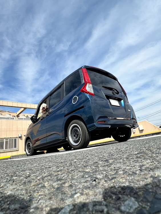 ルーミーの今日のワンチャン・うちの子世界一・愛犬紹介・スーパーの屋上駐車場・建物は消しゴムマジックで消していますに関するカスタム事例の投稿画像2枚目