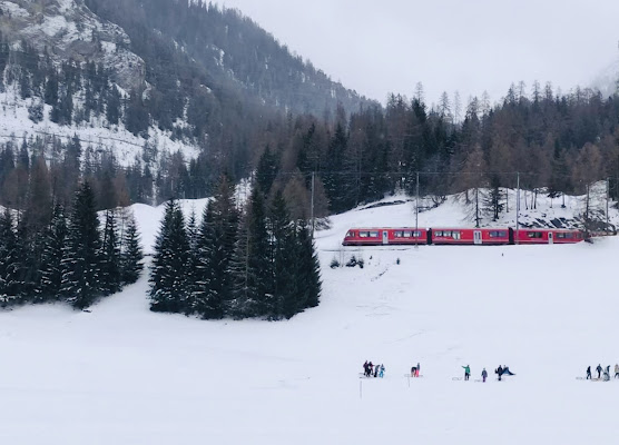 Il trenino rosso del Bernina di Dama