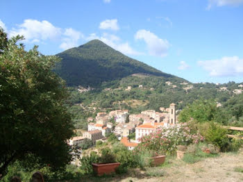 terrain à Sagone (2A)