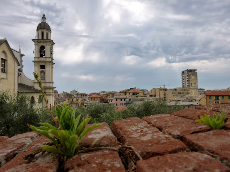 tra i mattoni di Elisabetta Castellano