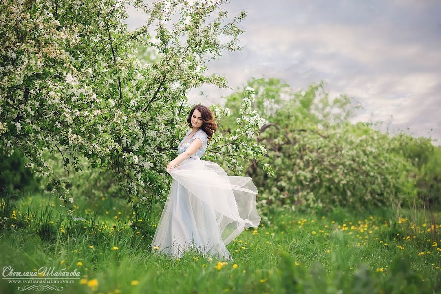 Fotografo di matrimoni Svetlana Shabanova (shabanovasl). Foto del 9 giugno 2016