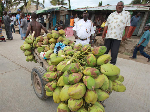 A businessman hawks coconut fruits.