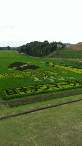 Denpark 田んぼアート2015