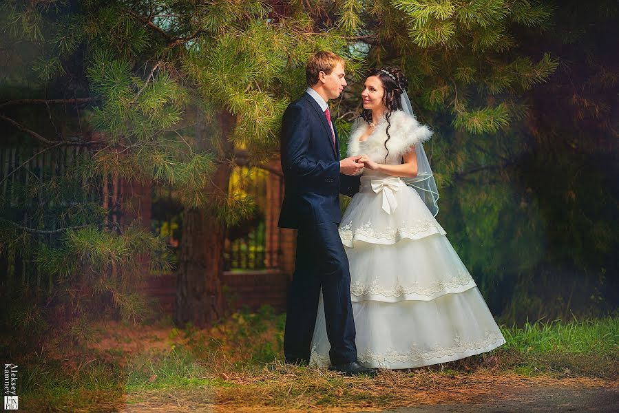 Wedding photographer Aleksey Kamnev (kamnevpro). Photo of 1 November 2012