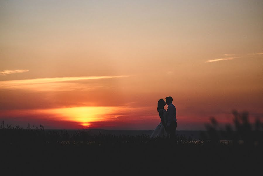 Fotografo di matrimoni Dmitriy Vasilenko (dmvasilenko). Foto del 3 settembre 2016