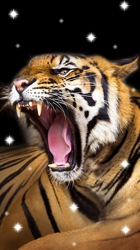Tiger, live wallpaper