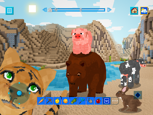 Terra Craft Build Your Dream Block World