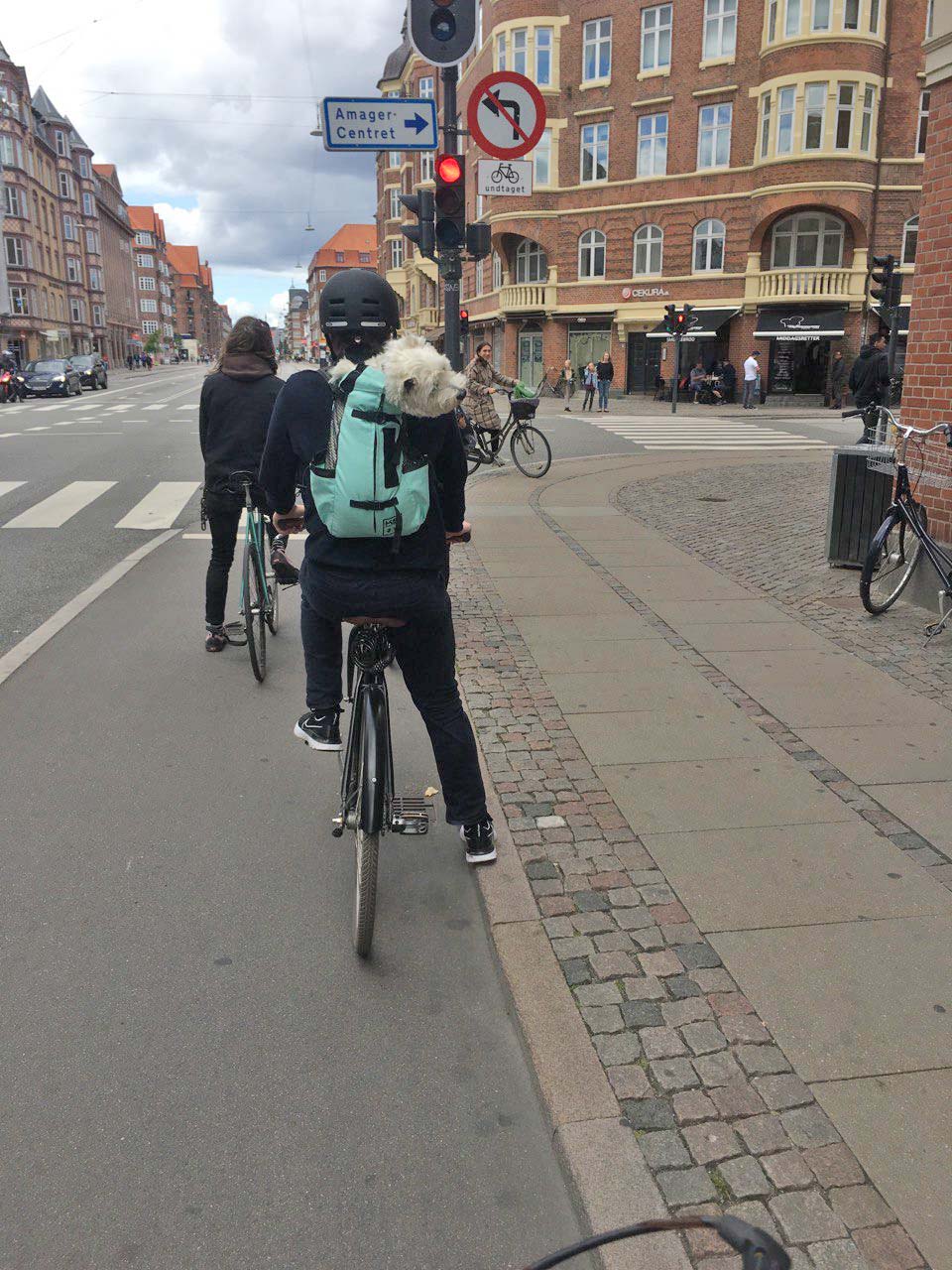 Radfahrer warten an einer roten Ampel