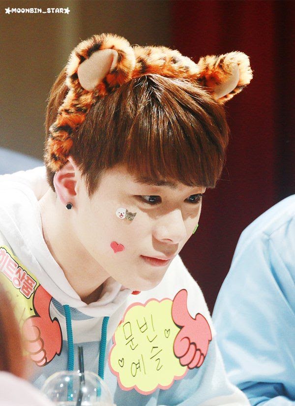 7ddbd094432c367f189cfa9d2c7bf325--the-tiger-astro-moonbin