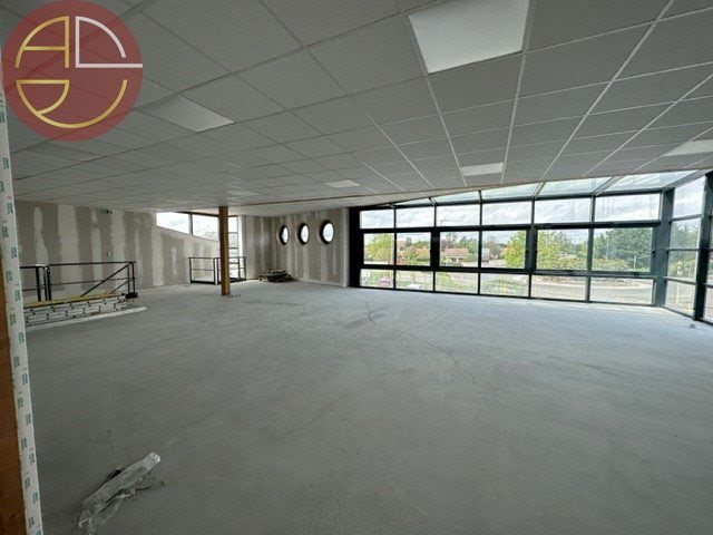 Location  locaux professionnels  225 m² à Saint-Lys (31470), 2 250 €