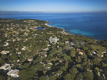 terrain à batir à Saint-Tropez (83)