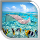 Underwater World Live Wallpaper Download on Windows