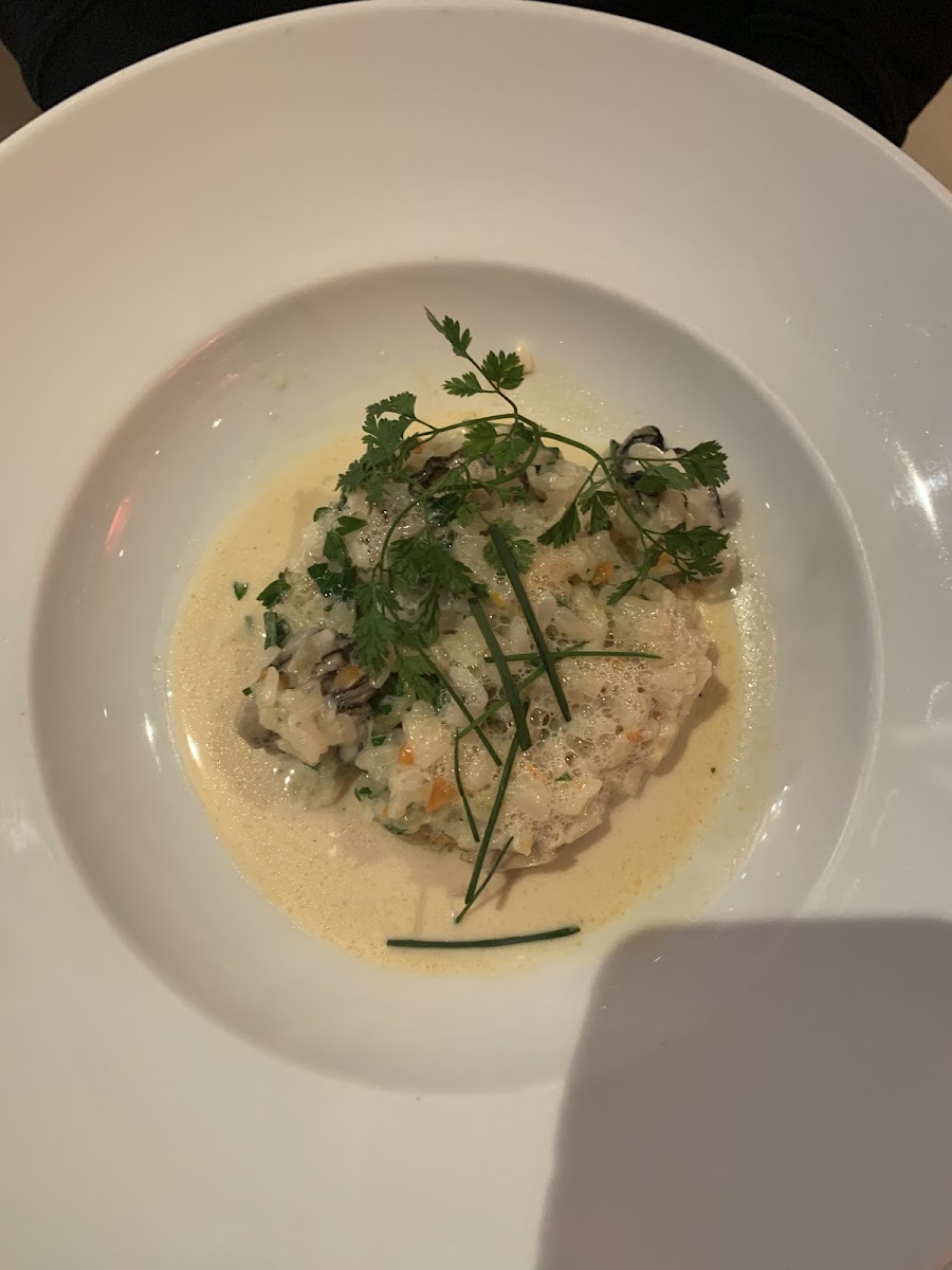 Oyster-rice appetizer in cream sauce was amazing