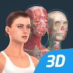 Human body (female) educational VR 3D Apk