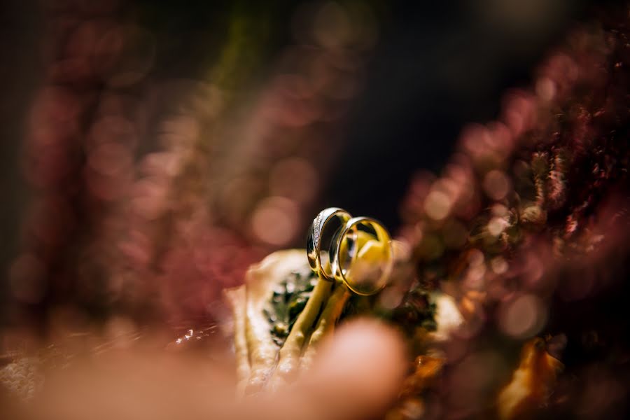 Photographe de mariage Petra Krotká (petrakrotka). Photo du 31 janvier