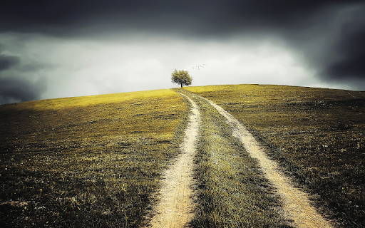 Ancient countryside    trail screenshot 1