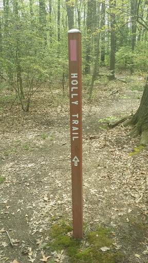 Holly Trail