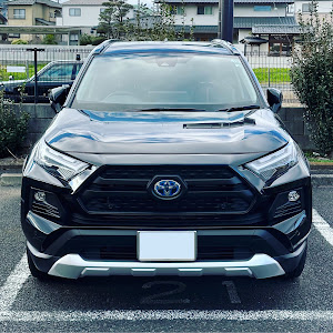 RAV4 AXAH54