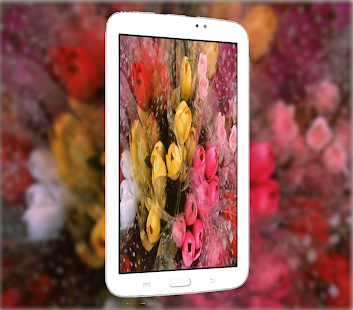 How to install DSLR Camera HD Pro 2 apk for pc