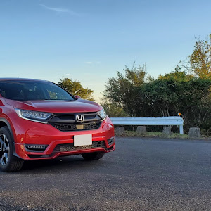 CR-V RW2