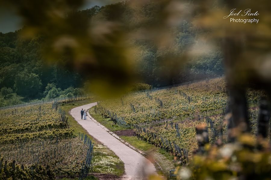 Fotograf ślubny Joel Pinto (joelpintophoto). Zdjęcie z 30 czerwca 2019