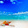 Tropical Summer Wallpapers Theme New Tab