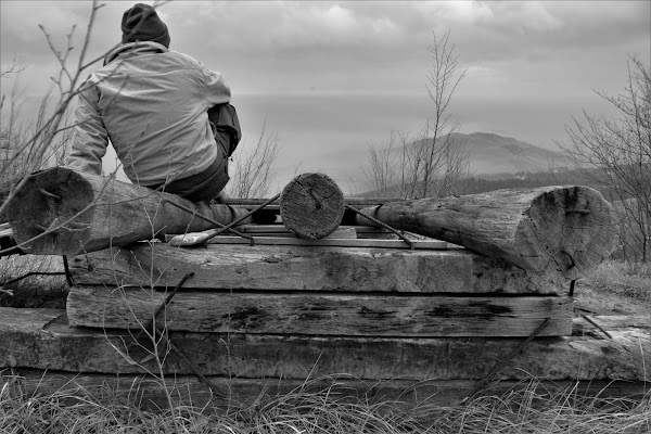 Pausa lavoro e... di nestowolf