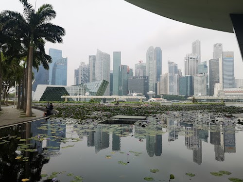 Malasia y Singapur en 12 días. Septiembre 2019 - Blogs de Asia Sudeste - Un día en Gardens by the Bay (1)