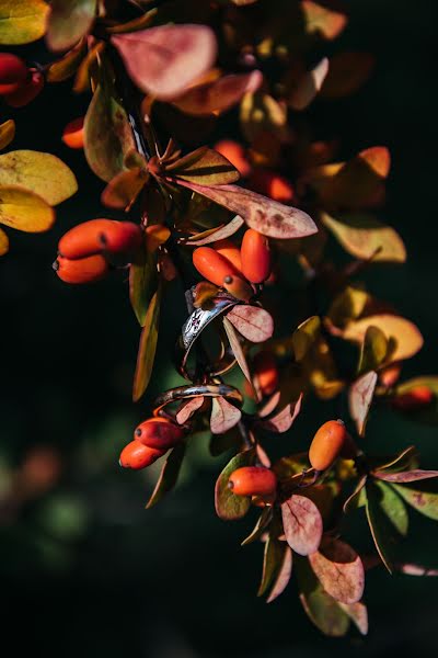 Vestuvių fotografas Olga Sevostyanova (olsevost). Nuotrauka 2020 kovo 24