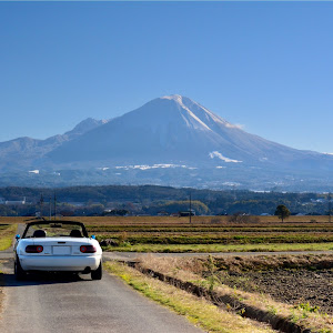 ロードスター NA8C