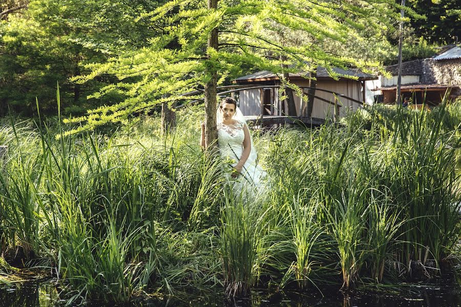 Fotógrafo de bodas Laszlo Vegh (laca). Foto del 10 de julio 2018