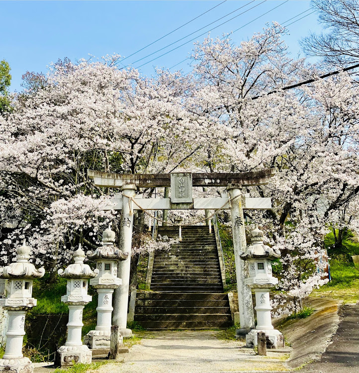 コペンの4月もよろしくお願い致します🌸・桜シーズン開幕・桜と愛車・サクラと愛車・いいね＆フォロー＆コメントありがとうございますに関するカスタム事例の投稿画像2枚目