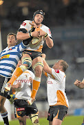 Cheetahs' flank Lappies Labuschagne collects clean lineout ball during a Currie Cup match against Western Province last season