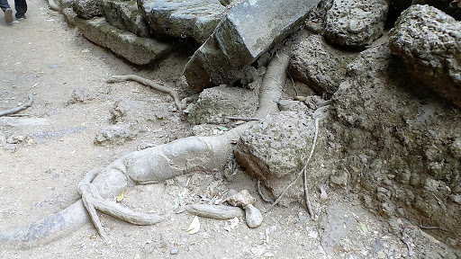 Tomb Raider Movie Temple (Ta Prohm) Cambodia 2016