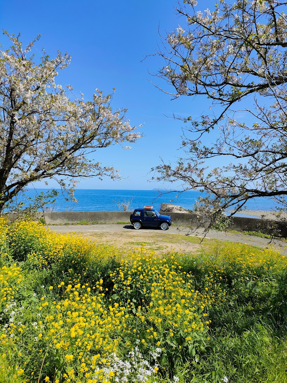パジェロミニのパジェロミニとお散歩・桜・海・菜の花に関するカスタム事例の投稿画像1枚目