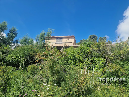 House with pool and garden 2